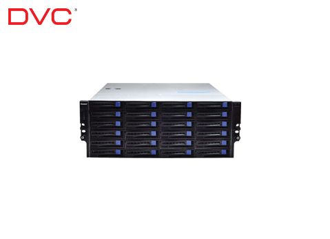 Mrežni strežnik DSN-7424